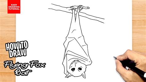 Flying Fox Drawing 1