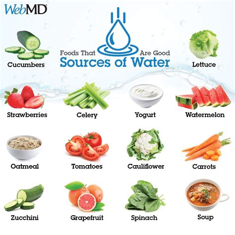 Food and Water