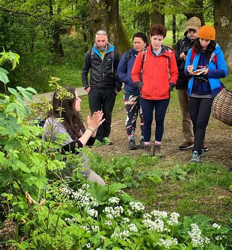 Foraging Workshop