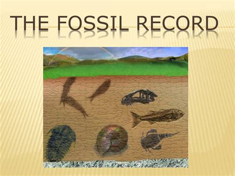 Fossil Records