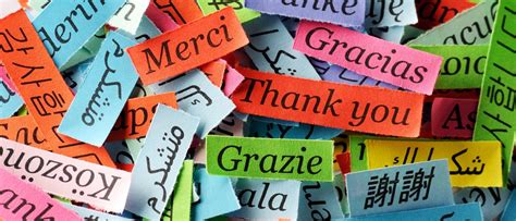 French Gratitude Images