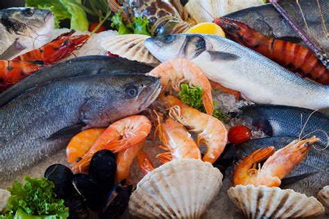 Fresh seafood dishes at The Copper Dock Restaurant