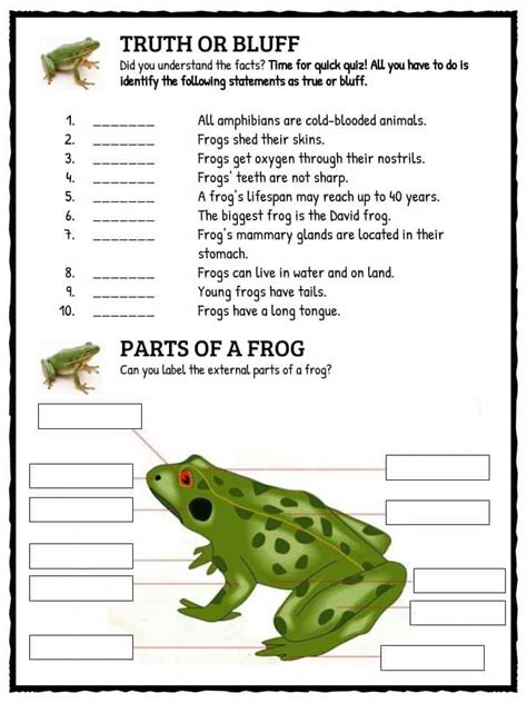 Frog activity sheets for kindergarten