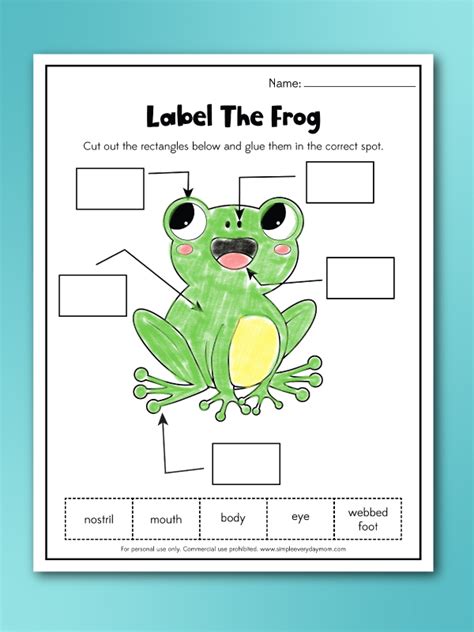 Frog worksheets for preschoolers