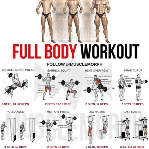 Full Body Workout