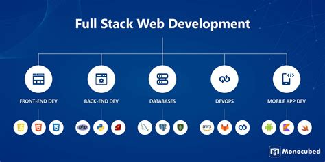 Full Stack Developer