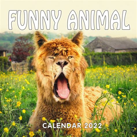 Funny Animal Calendars