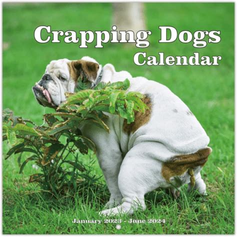 Funny Calendars Image