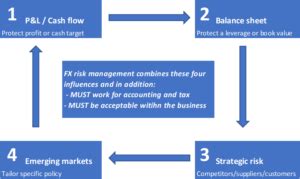 FX Risk Management Regulation