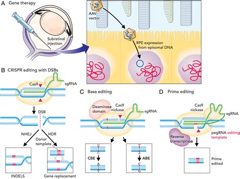 Gene Expression