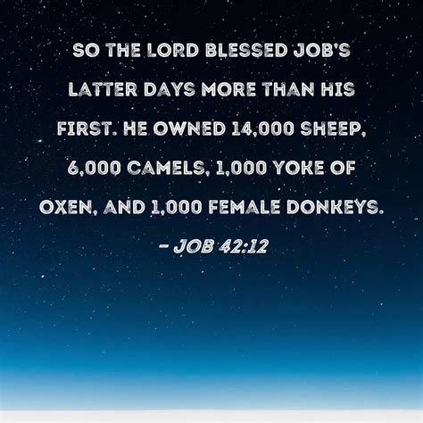 God and Job Image 5