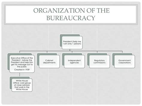 Government Bureaucracy Structure