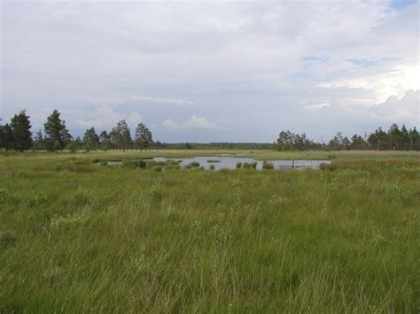 Grafenwöhr Army Base Environmental Concerns