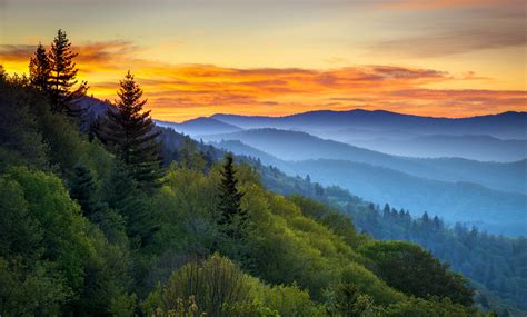 Great Smoky Mountains National Park Image