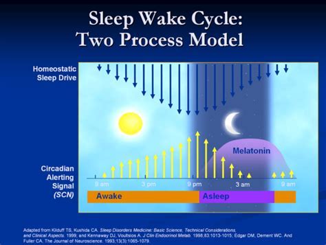 Guangzhou Sleep-Wake Regulation Laser