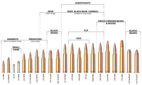 Gun Caliber Chart