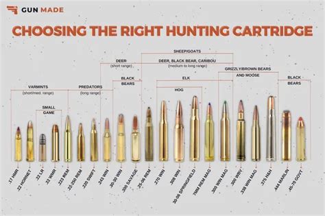 Gun Caliber Terminology