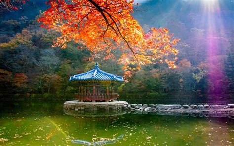 Gwangju South Korea Autumn