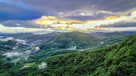 Forest in Hainan, China's Hawaii