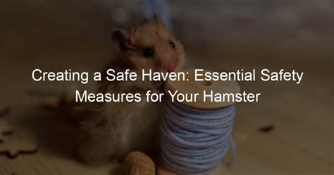 Hamster Safety Tips