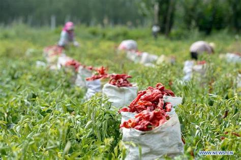 Harvesting