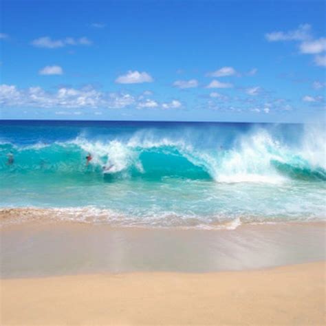 Hawaii Beaches