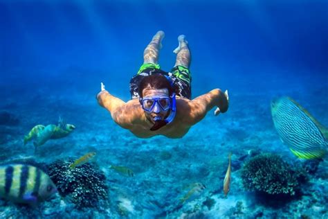 Hawaii Snorkeling