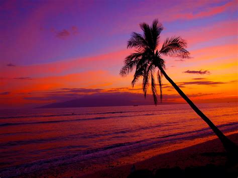 Hawaiian Sunset View