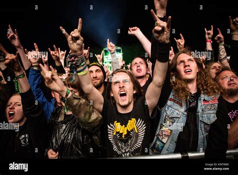 Heavy metal fans raising the horns at a concert