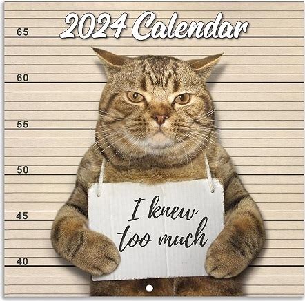 Hilarious Meme Calendars