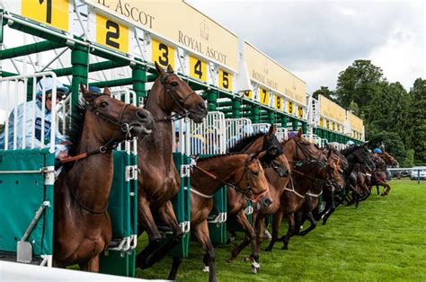 History of Luxury Horse Racing