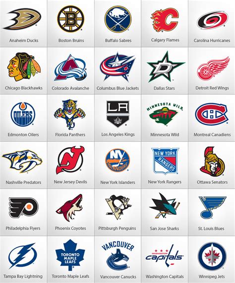 Hockey Leagues