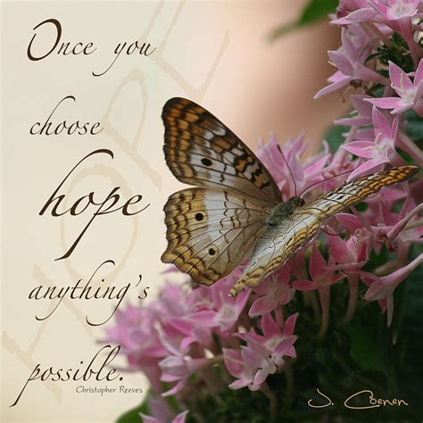 Hope butterfly