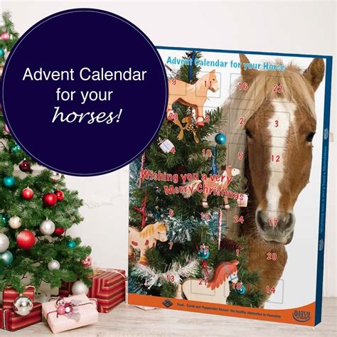 A horse advent calendar with horse-themed treats behind each door