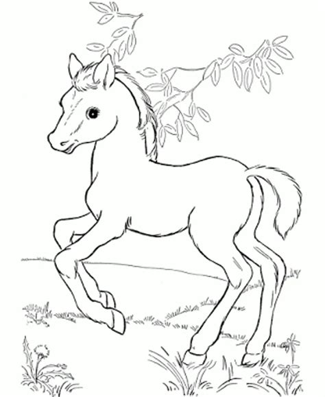 Horse coloring pages for fun