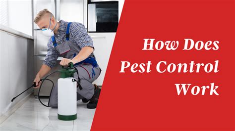 How Pest Control Works