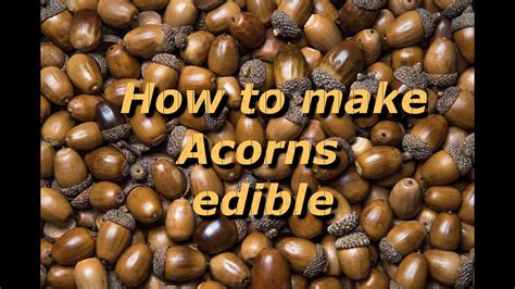 How to use acorns in clothes example