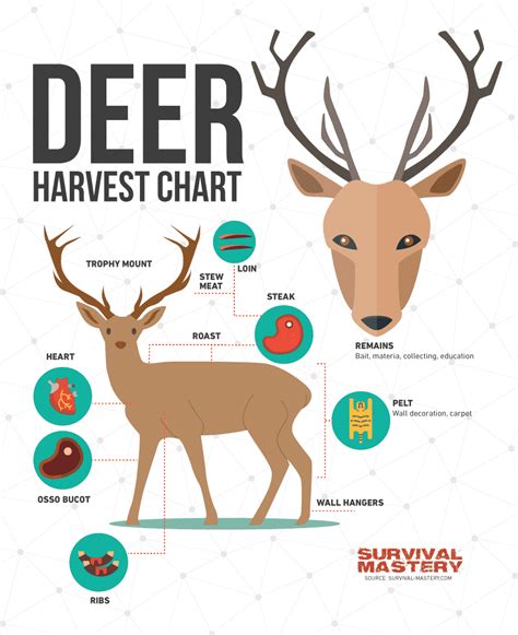 Hunting Tips Image