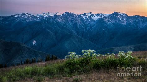 Hurricane Ridge sunset