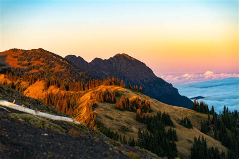 Hurricane Ridge sunset gallery