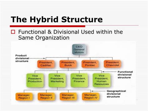 Hybrid Organization System