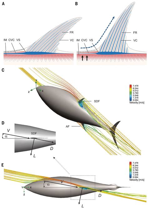 Hydrodynamic and Aerodynamic Optimizations for Reduced Propulsion Power