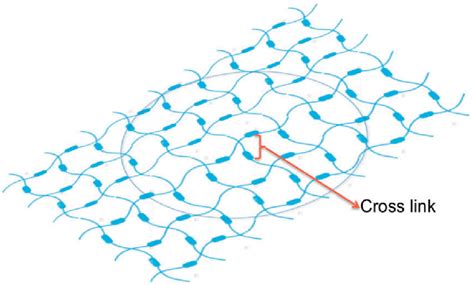 Hydrogel-Based Structures