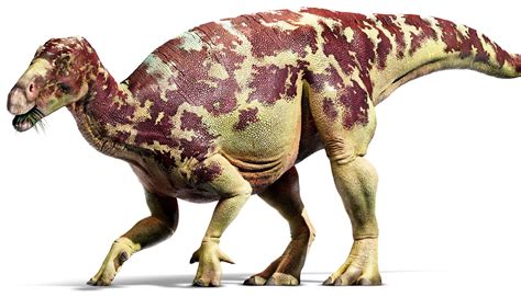 Iguanodon