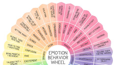 Images Emotions Behavior