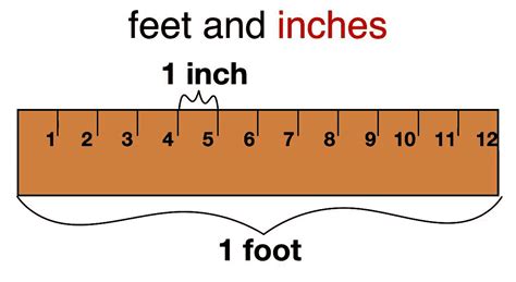 Inches to Feet Calculation