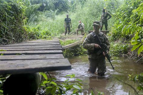 Infantry soldiers in jungle combat