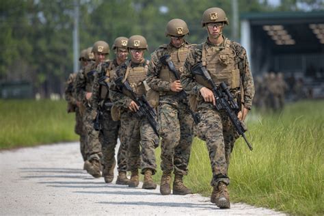 Infantry soldiers conducting training exercises