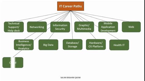 Information Technology Career Paths