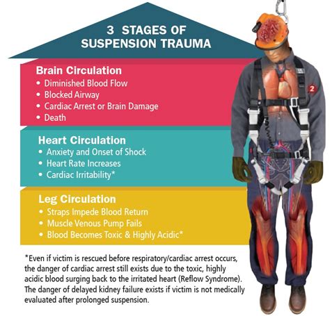 Impact of Injuries and Suspensions